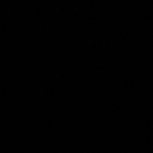 Meet your Posher, Manuela